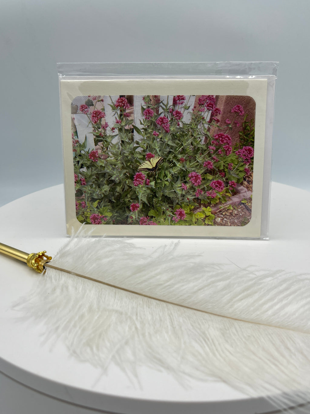 Yellow Swallowtail & Red Valerian on White Pickett Fence Photo Card