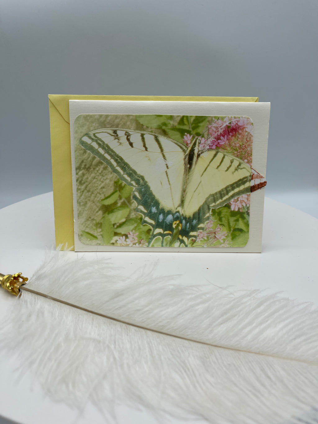 Yellow Swallow Tail Butterfly Photo Card