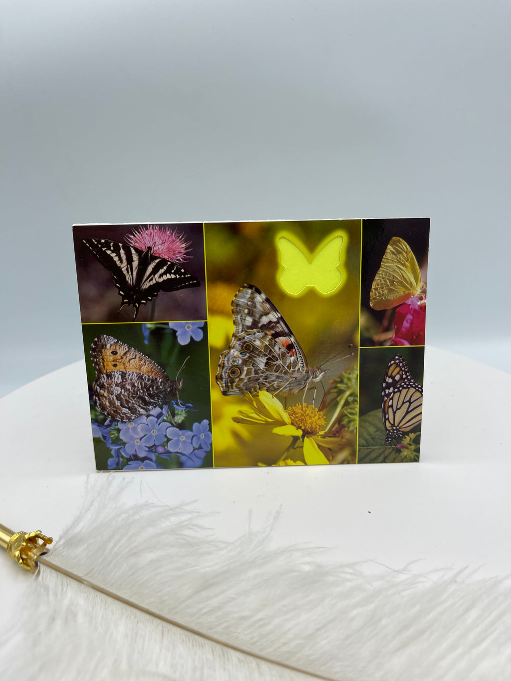 Butterfly Photo Collage Card