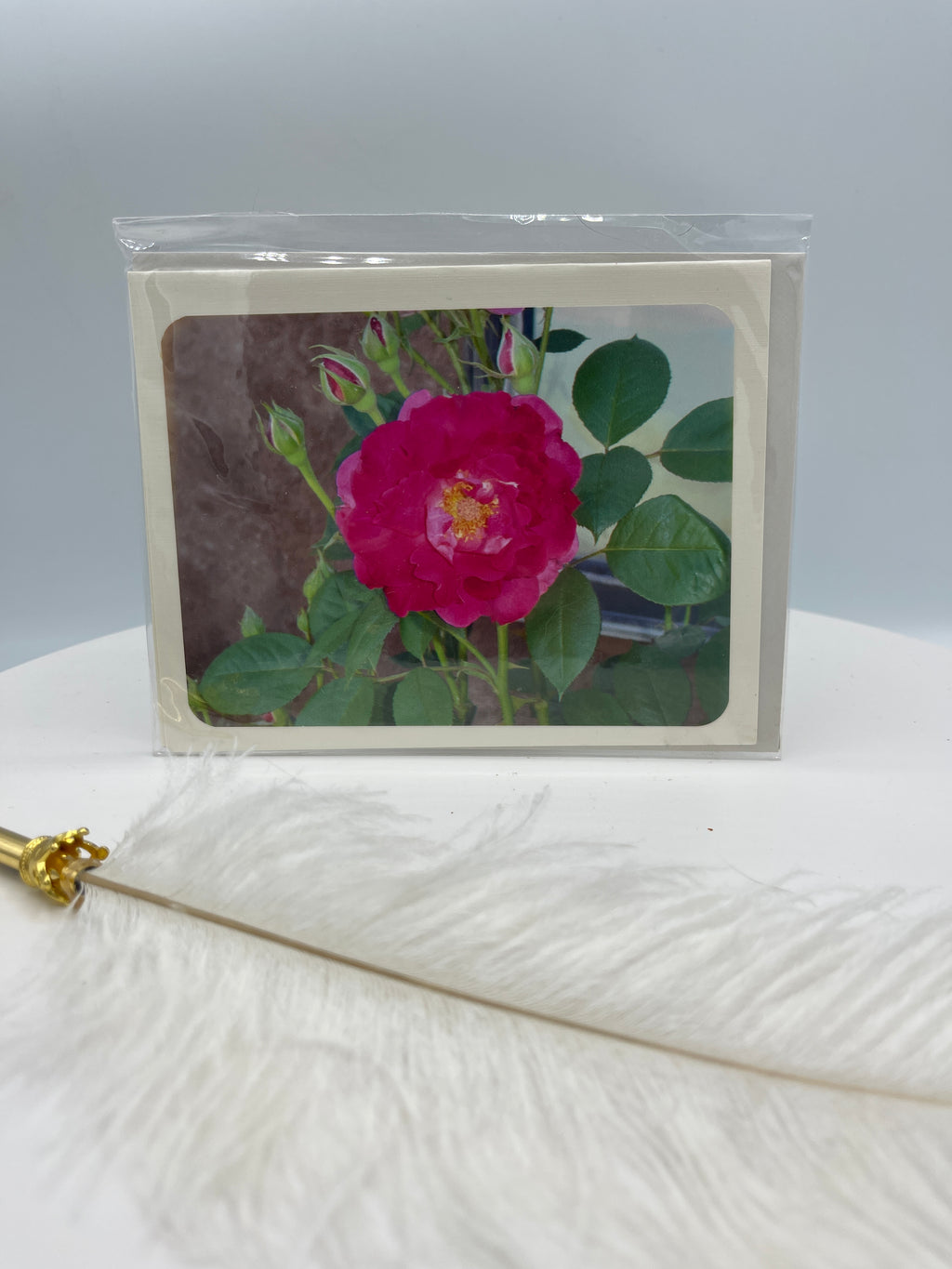 Single Red Rose w/Rose Buds Photo Card