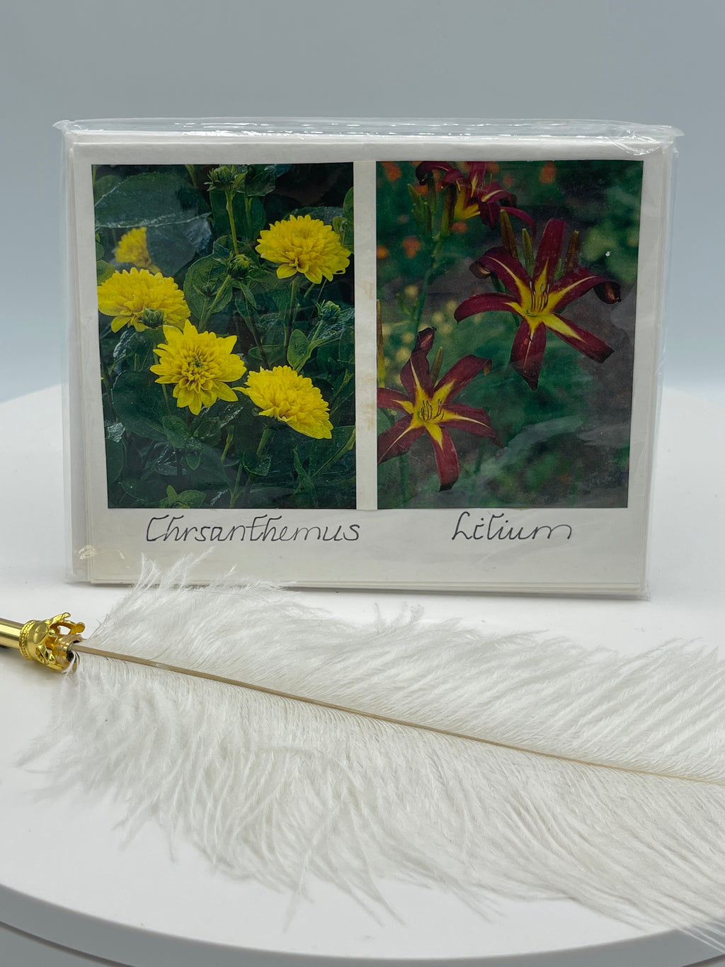 Yellow Dahlias & Lilium & Other Flower Varieties