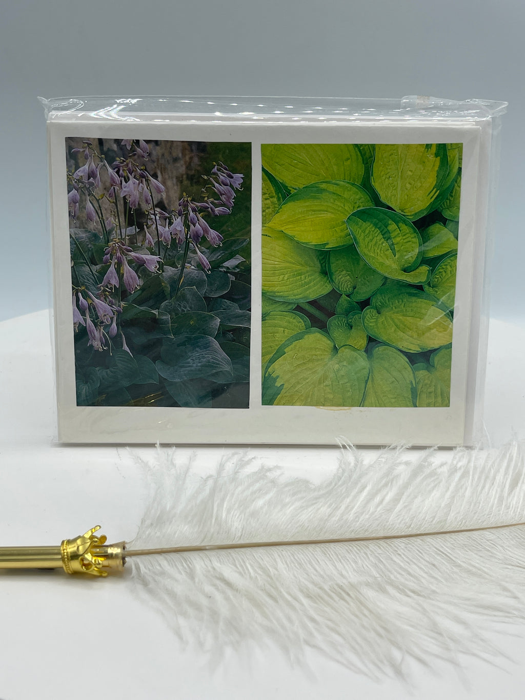 Sealed Set of 4 Notecards: Hostas & Other  Floral Varieties.