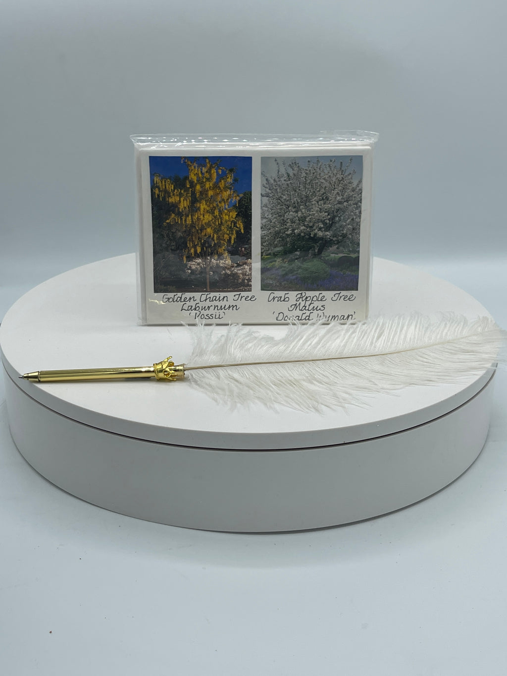 Sealed Set of 4 Notecards: Golden Chain Tree & Other Varieties