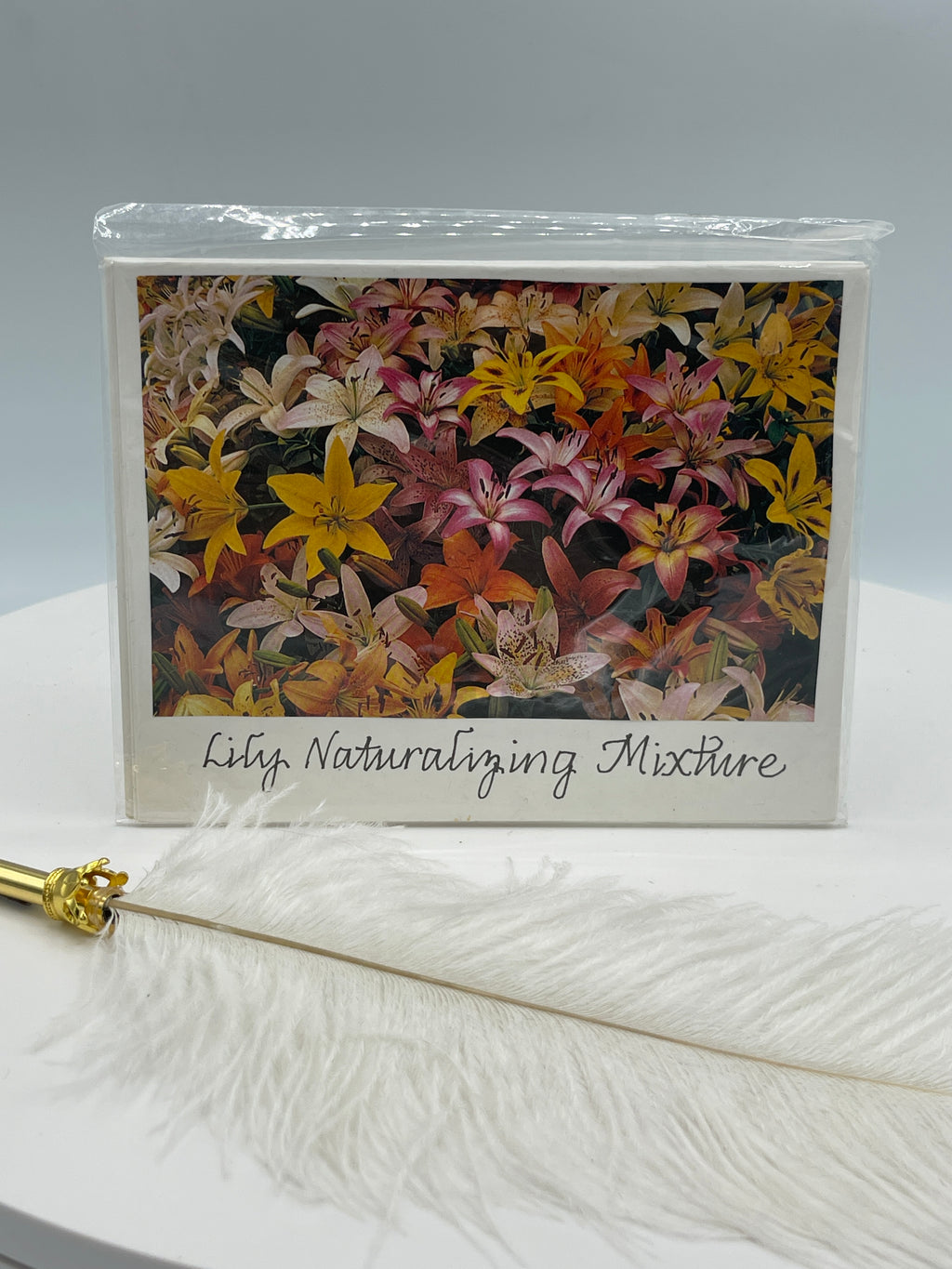 Set of 4 Cards:  Multi-Colored Lilies & Other Flower Varieties
