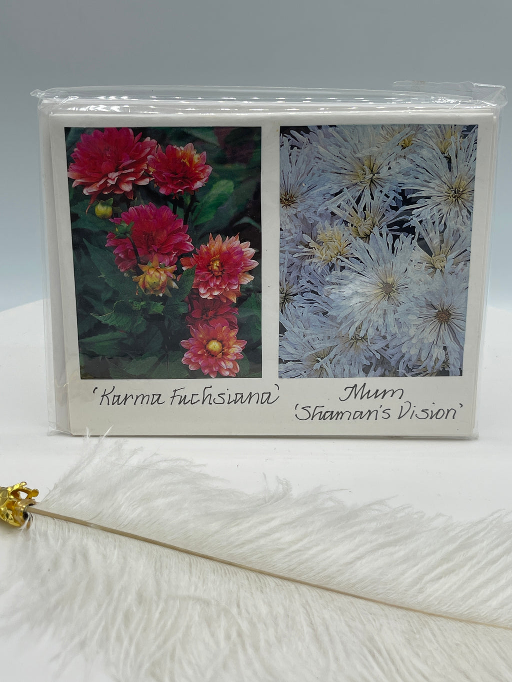 Set of 4 Notecards: Fuchsianal & Other Varieties