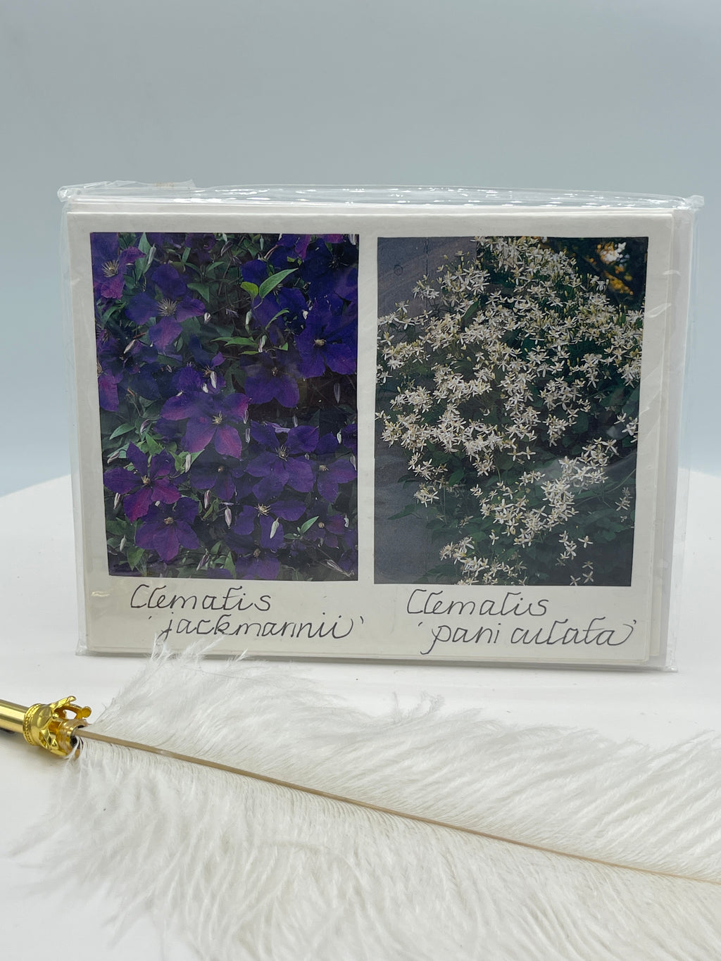 Set of 4 Notecards:  Clematis & Other Flower Variieties