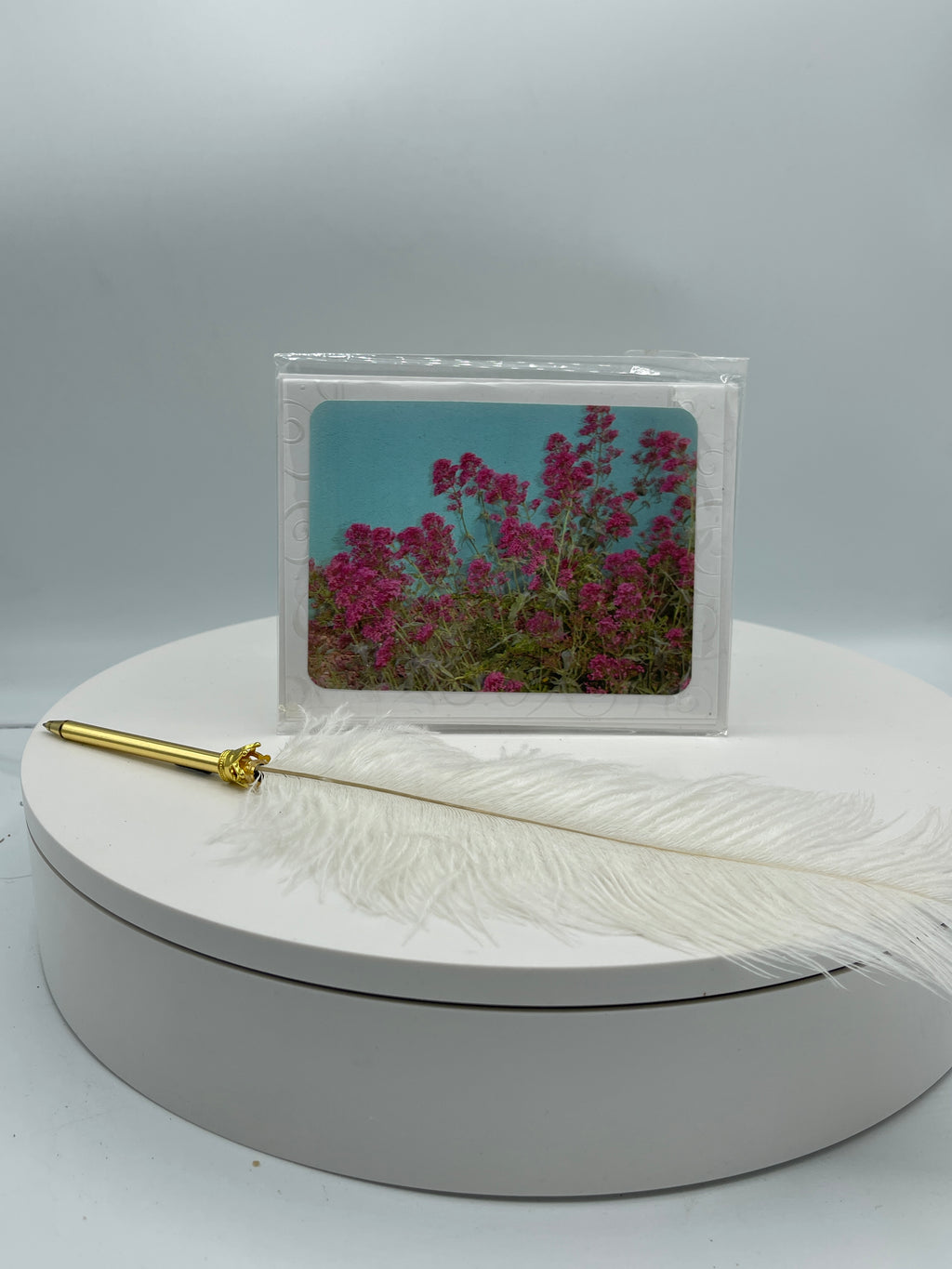 Red Valerian on Turquoise Wall