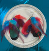 Multi-Colored Feather Earrings
