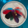 Multi-Colored Feather Earrings