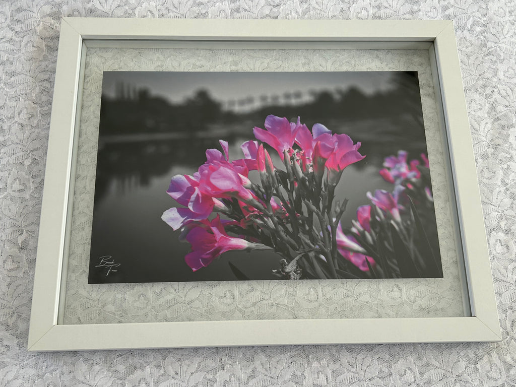 BREAK FREE PHOTOGRAPHY 9 X 12 Giclee Print of Oleanders in Ahwatukee, AZ