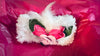 Set of 8 Baby Headbands in Gift Box  (Special Order for gift box Only)
