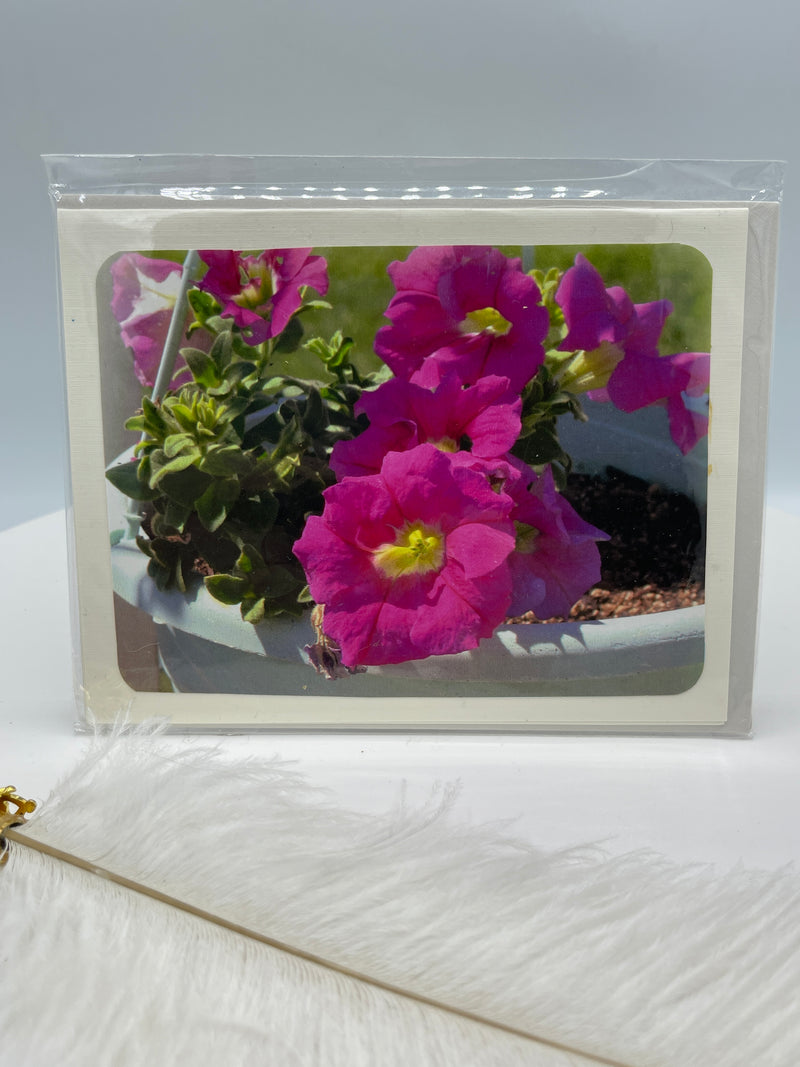 Pink Petunias in Mint Pot
