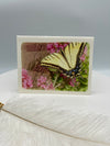 Yellow Swallowtail Butterfly on Red Valerian