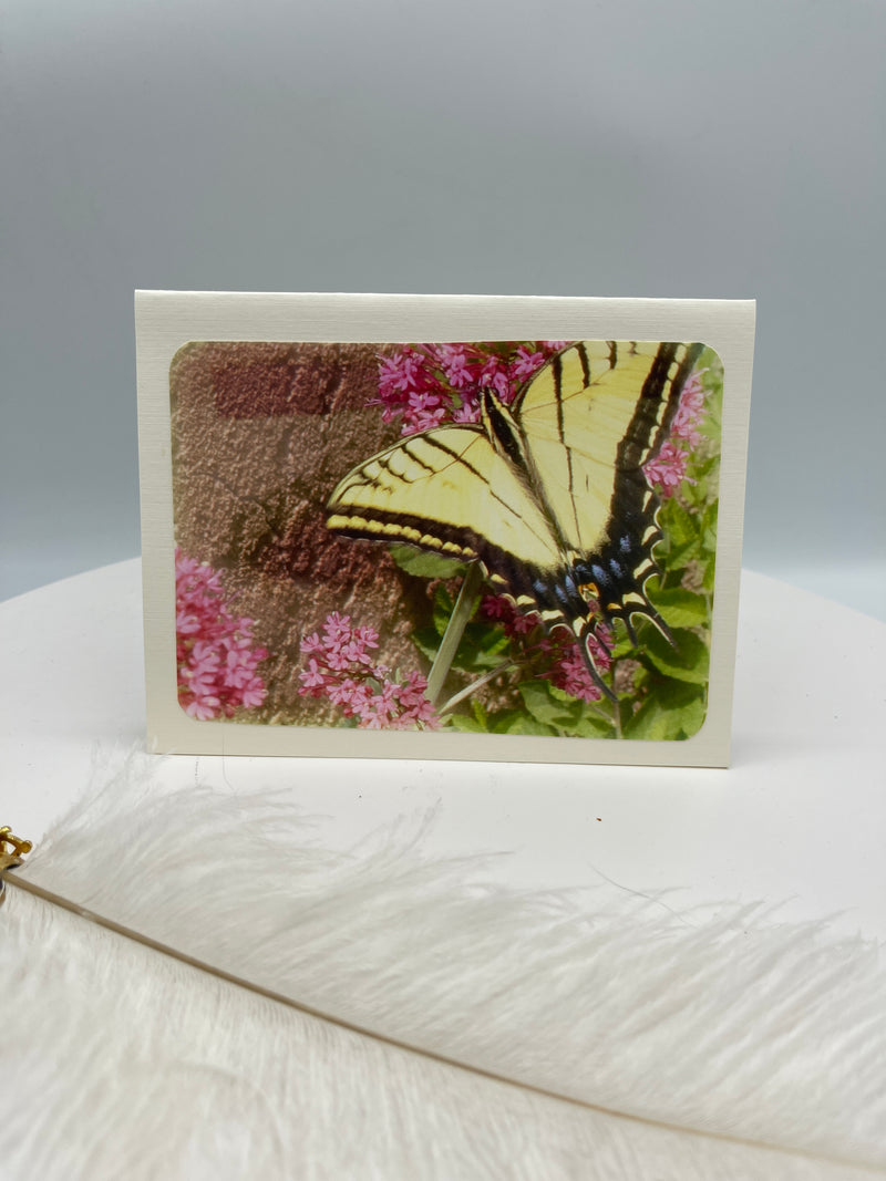 Yellow Swallowtail Butterfly on Red Valerian