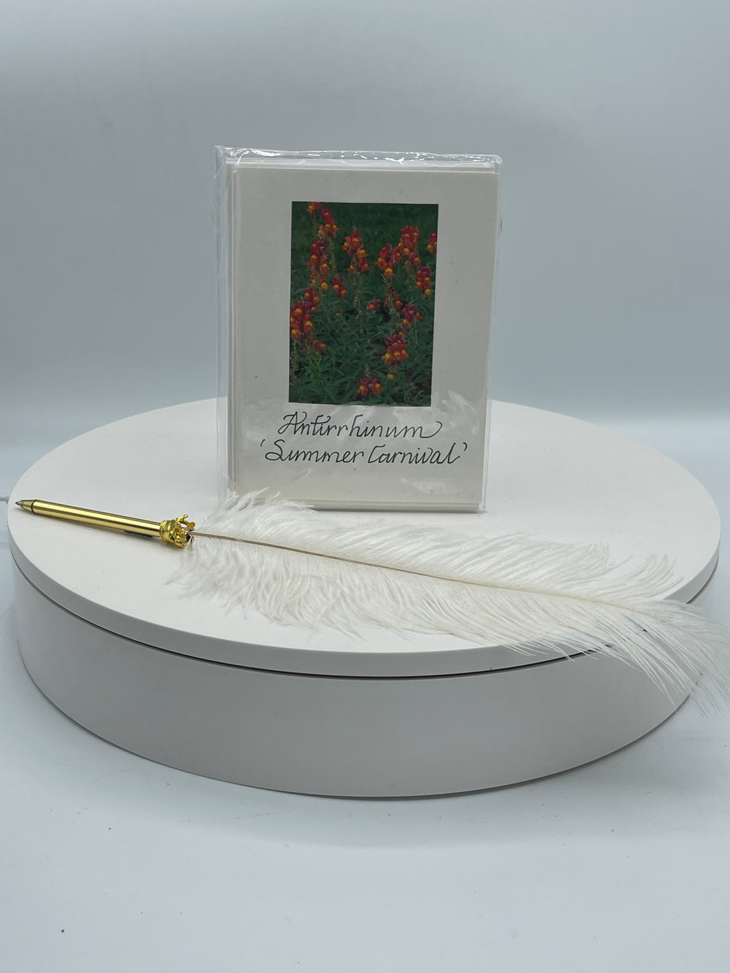Set of 4 Notecards:  Summer Carnival & Other Varieties
