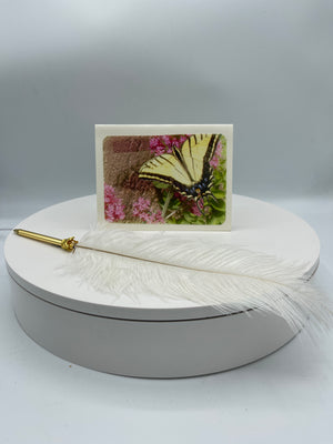 Yellow Swallowtail Butterfly on Red Valerian