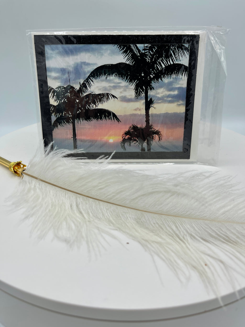 Black Matted Palm Photo Card