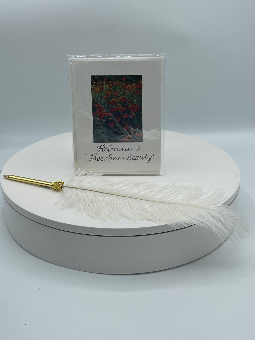 Set of 4 Notecards: Summer Carnival & Other Varieties.