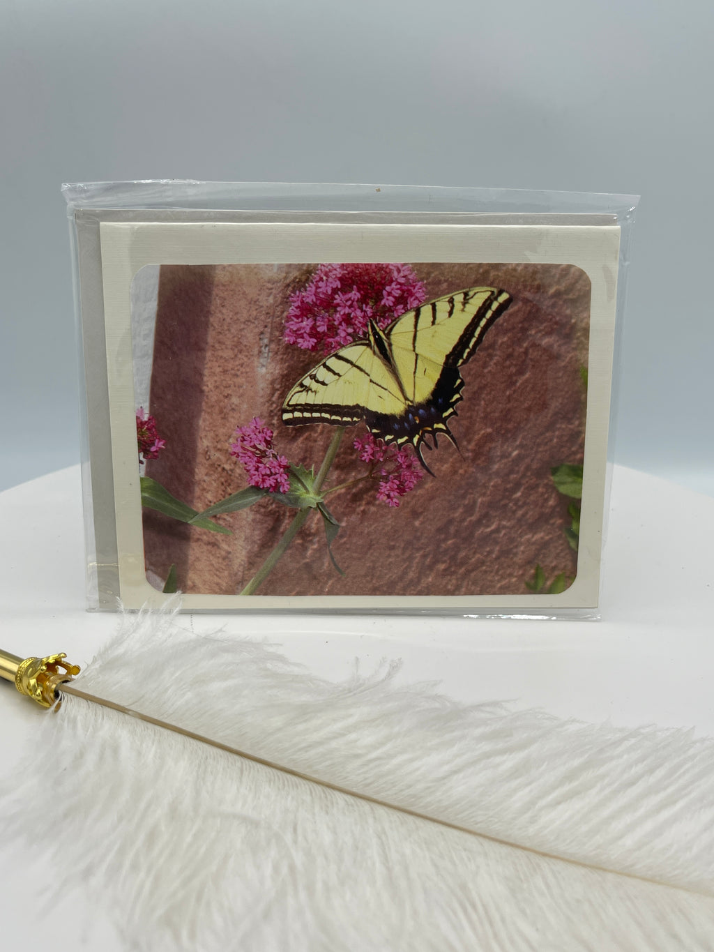 Large Yellow Swallowtail on Red Valerian
