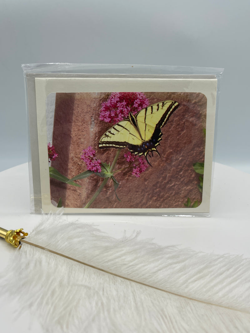 Large Yellow Swallowtail on Red Valerian