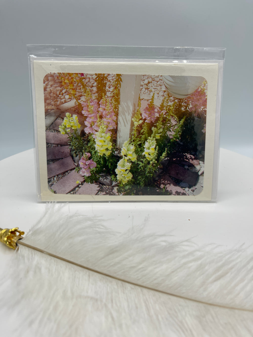 Snapdragon Photo Card