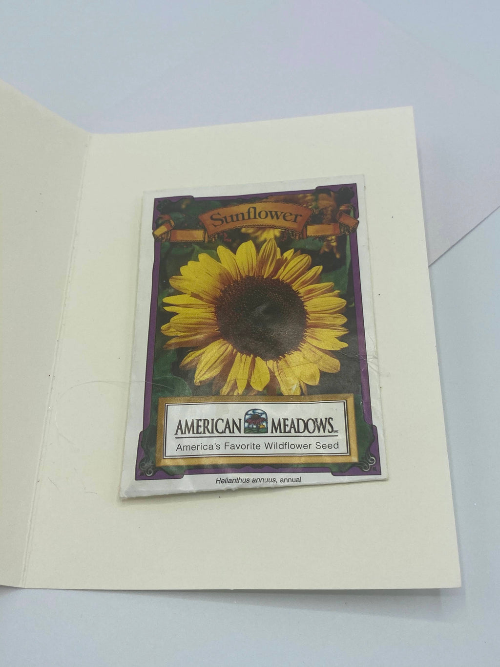 Sunflower Seeds For You Card