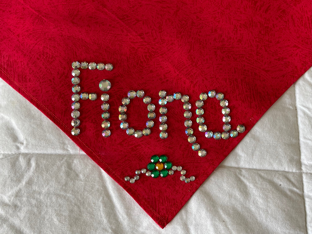 Customized Red & Green Christmas Dog Scarves