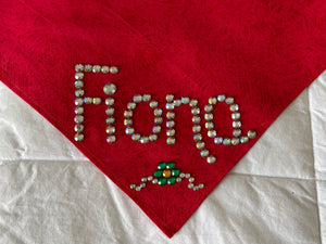 Customized Red & Green Christmas Dog Scarves