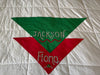 Customized Red & Green Christmas Dog Scarves