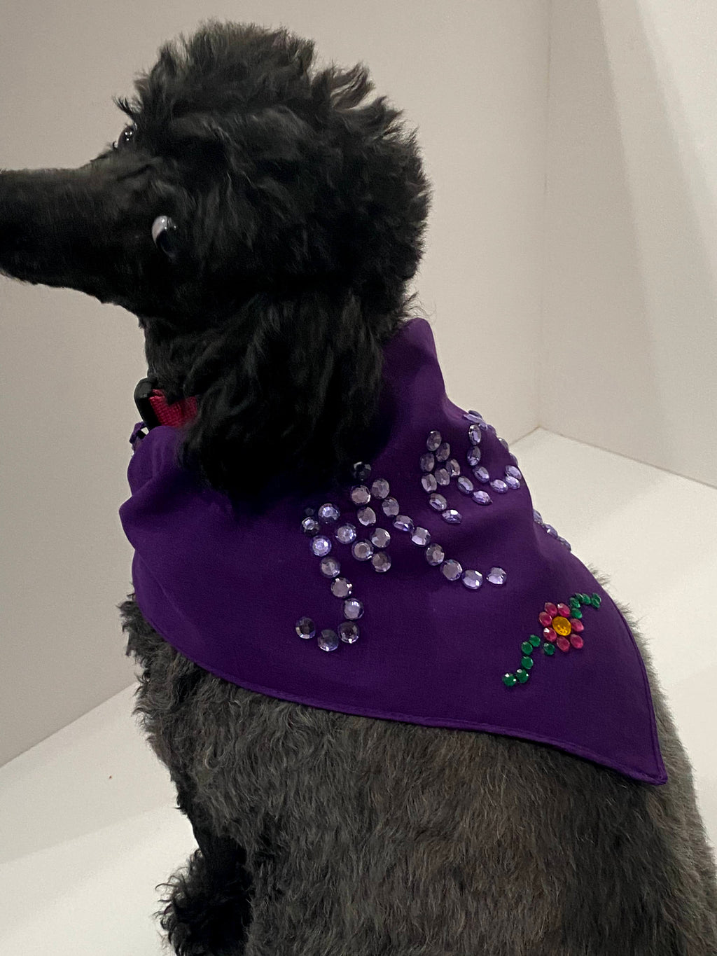 Customized Rhinestone Dog Scarves