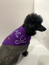 Customized Rhinestone Dog Scarves