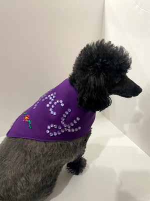 Customized Rhinestone Dog Scarves