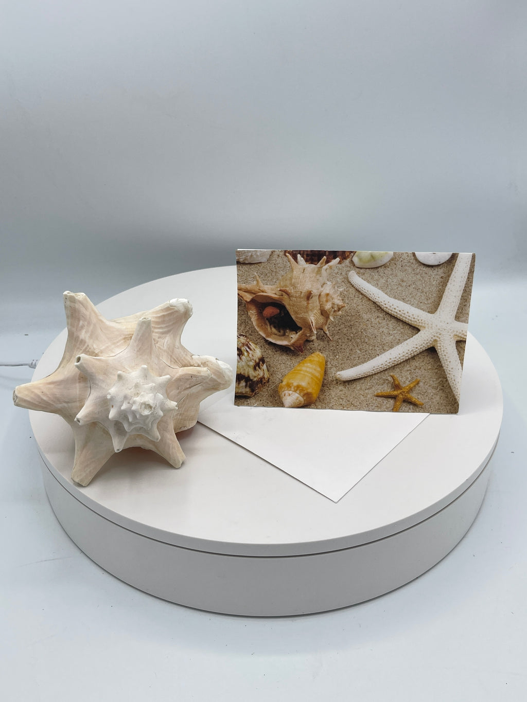 Seashell Beach Card