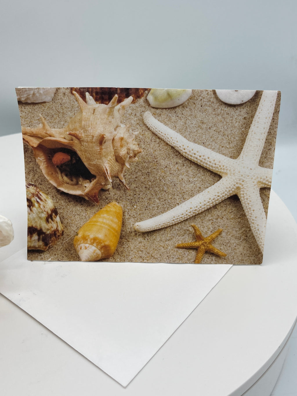 Seashell Beach Card